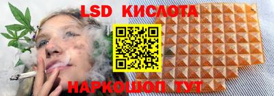 ешки Волгодонск