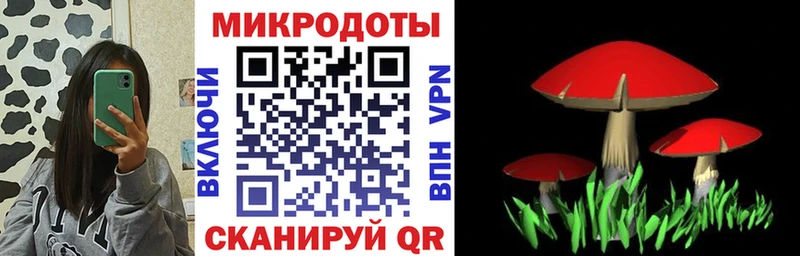 что такое наркотик  Знаменск  Галлюциногенные грибы Psilocybine cubensis 