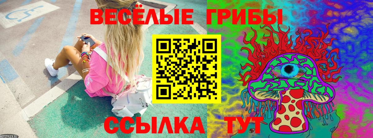 Галлюциногенные грибы Psilocybine cubensis  Вход с VPN  Знаменск 